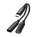 LUYINGデュアルUSB-Cヘッドフォン&充電アダプタDAC搭載ハイレゾ音質PD60W高速充電・無発熱で安全音量調節/通話/音楽対応iPadPro/Android/TypeCなど機器に適用ブラック