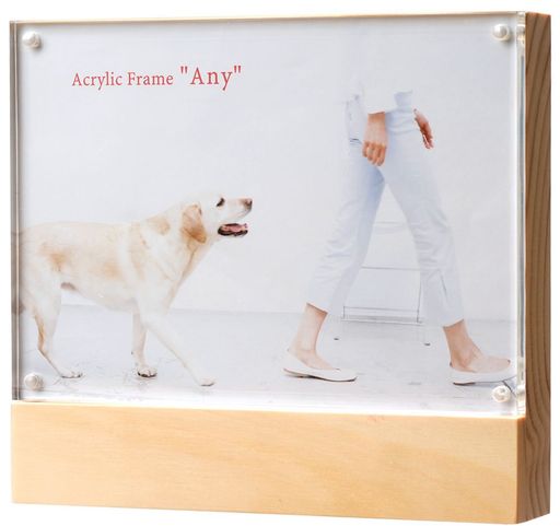 VANJOH եȥե졼 ACRYLIC FRAME ANY 2LȽ  ʥ AE-2LNL