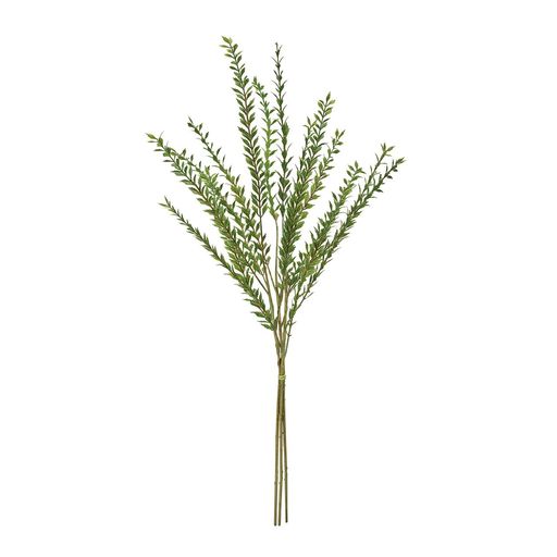 東京堂(Tokyodo)リューカワイルドブランチL70xW30cm1束(3本)FG000364-zzz