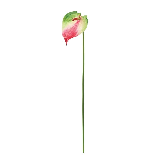 サイズ:本体:M、長さ57x幅10cm・花:長さ14cm 重量:24g 材質:ポリエステル 原産国:中華人民共和国 東京堂オリジナルアーティフィシャルフラワー(造花)ブランド【MAGIQ】今までの造花にはないリアルな品質のアーティフィシャルフラワーです。生花にはない豊かな表現力がアーティフィシャルフラワーの大きな魅力の一つ。日々の暮らしの中で花のある暮らしを是非お楽しみください。
