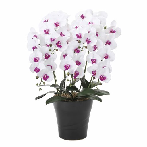 光の楽園フェイクグリーン造花フレッシュ胡蝶蘭5本立W/L876P220