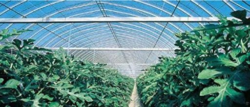 쥹ȥϥѥӥˡեॽ饯꡼󿧺Τɿгĥѻ糰Ʃ᥿׸0.13mmx230cmxĹ100m