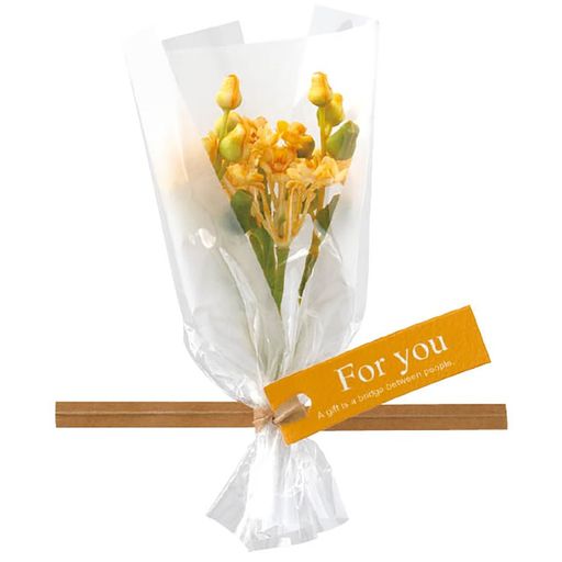 ヘッズ(Heads)ワイヤータイW100xD40xH120mm10個イエロー造花フルリールブーケ型封止め用HEADSZPT-BQ5