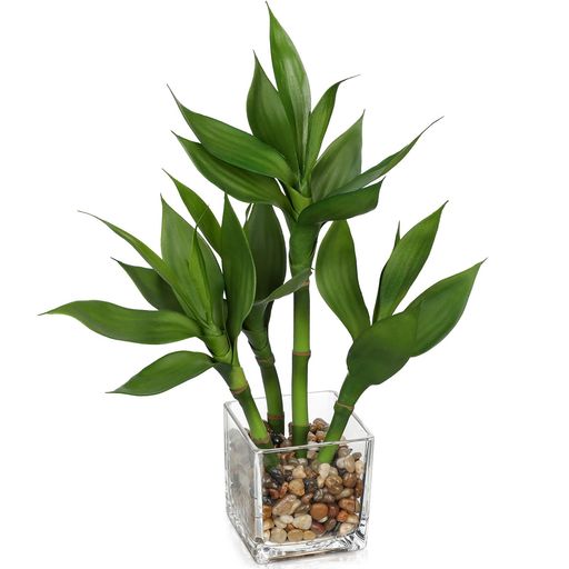 VillaComoフェイクグリーンインテリア人工観葉植物ミリオンバンブー開運竹富贵竹新築祝い開店祝い新年..