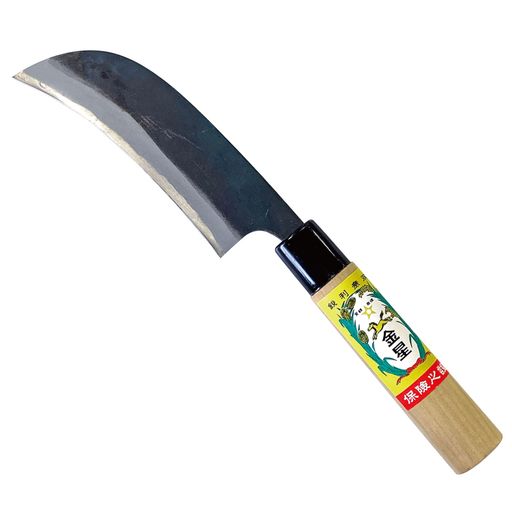 (Kinboshi)󥳥105mmξ¤߹1876