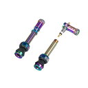 GRANITE(グラナイト)ジューシーニップル(JUICYNIPPLE)バルブキャップと44MMマッチングカラーのプレスタバルブステムセット-バルブコア取り外し...