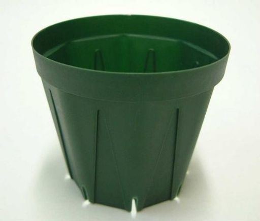 åȭ ץȭ 9CM ⥹꡼ 10