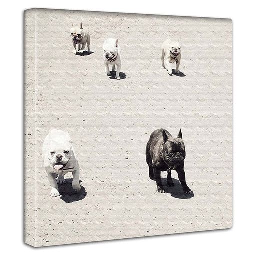 1分部屋メイク 「スグ」「カンタン」にハイセンスルーム 軽量なため、両面テープやプッシュピン等で簡単に飾れます。 特殊な印刷技法により発色の良さが自慢です。また耐水性・耐光性に優れます。 アートのデリバリー=ArtDeli プレゼントにも最適です。 アートのデリバリー=ArtDeli プレゼントにも最適です。