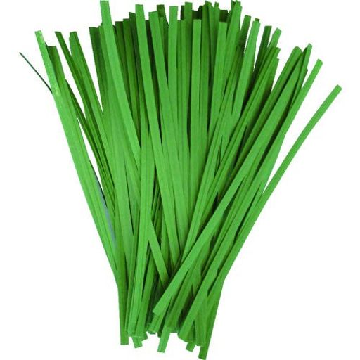 TRUSCO(トラスコ)園芸用ペーパータイ幅4mmx長さ100mm緑(100本入)PVT100-10 ...