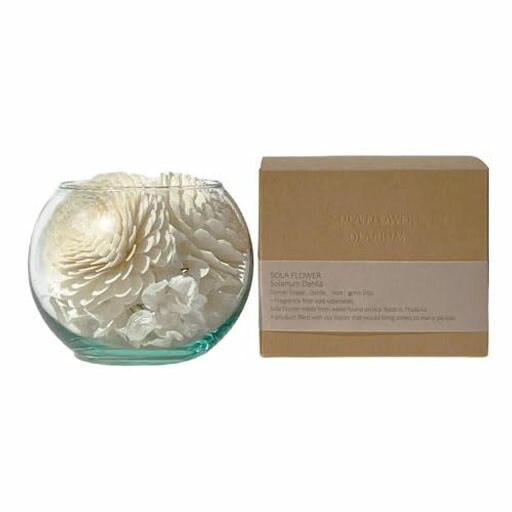 SolaFlowerSolariumソラフラワーソラリウムDahliaダリア