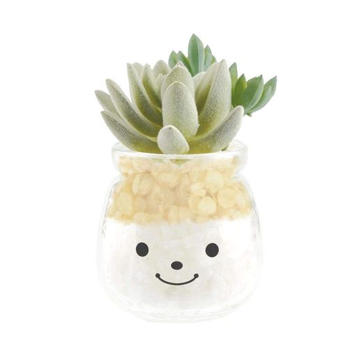 キシマ(Kishima)人工観葉植物グリーン7Wx8Dx11Hcm