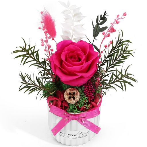 Bloom’sDiaryミニプリザーブドローズアレンジメントセラミックミニ花瓶、リアルタッチプリザーブドロー..