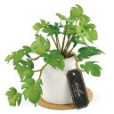 キシマkishima人工観葉植物フェイクグリーン人工植物枯れない造花グリーン触媒消臭抗菌空気清浄ミニモンステラKH-61249