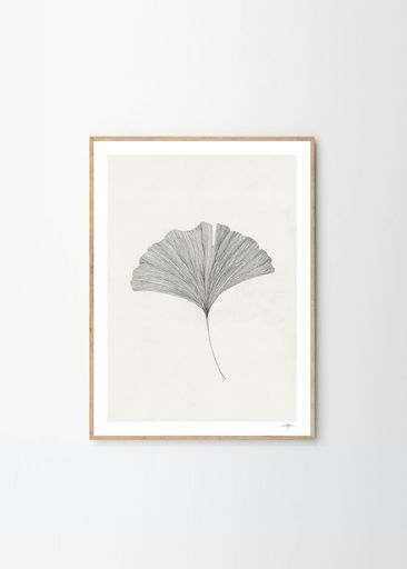 THEPOSTERCLUBݥGinkgoLeaf30x40cmAnaFrois