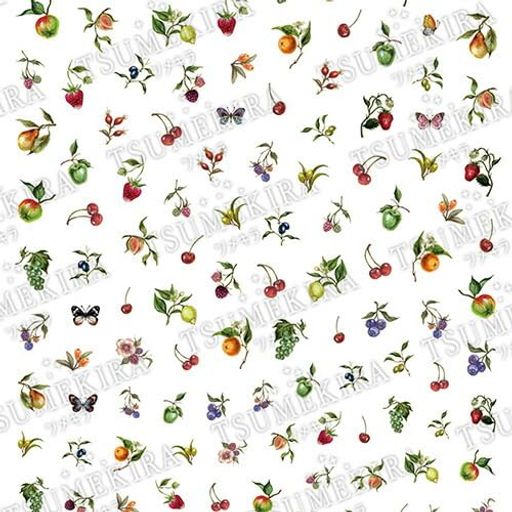 TSUMEKIRA(ツメキラ)DAISYプロデュースbearfruitsNN-DAI-029