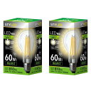 スタイルドLED電球2個セットクリア電球タイプ一般電球形E26【60W相当・810ルーメン・全配光・昼白色】フィラメントHDAC60N2