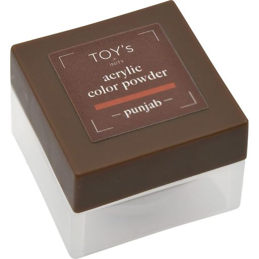 TOY’sxINITYアクリルカラーパウダーT-CP10パンジャブ7g