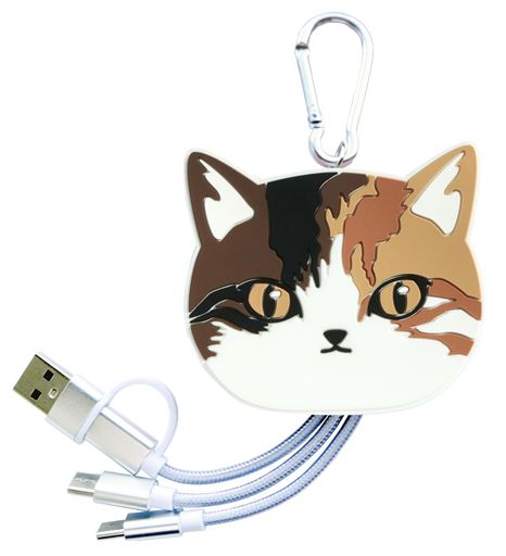 Fieldwork(フィールドワーク) バッグチャーム 大人可愛い  アクセサリー レディース カラビナ 付き 充電ケーブル タイプc スマホ 携帯 iPhone USB-C機器対応 便利グッズ かわ…