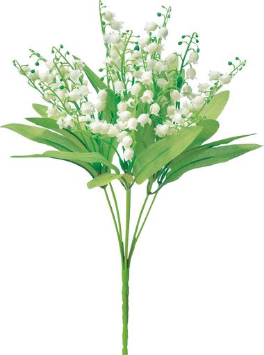 ������(Asca)ASCA¤�֥������֥å��奯�꡼��ۥ磻����Ĺ:32cmA-33963-011