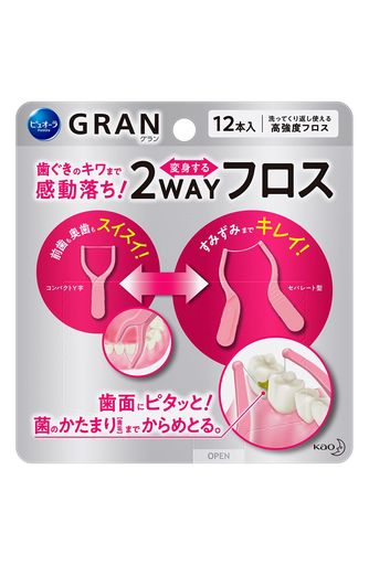 ԥ奪GRAN 2WAYե