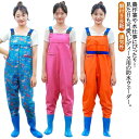 チェストハイウェーダー 胴長 アウトドア ウェーダー 除雪 ウェーダー レインウェア レディース 農作業用 作業着 水産業 田植え 水場仕事 女性用 ガーデニン...
