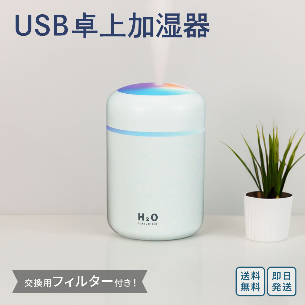 ＼楽天スーパーSALE 10%OFF／ 加湿器 卓上 加湿器