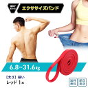 トレーニングバンド エクササイズバンド ループバンド レッド 細め 4種の強度 2重にして強度アップ! 体幹トレーニング インナーマッスル 室内ダイエット ヨガ...
