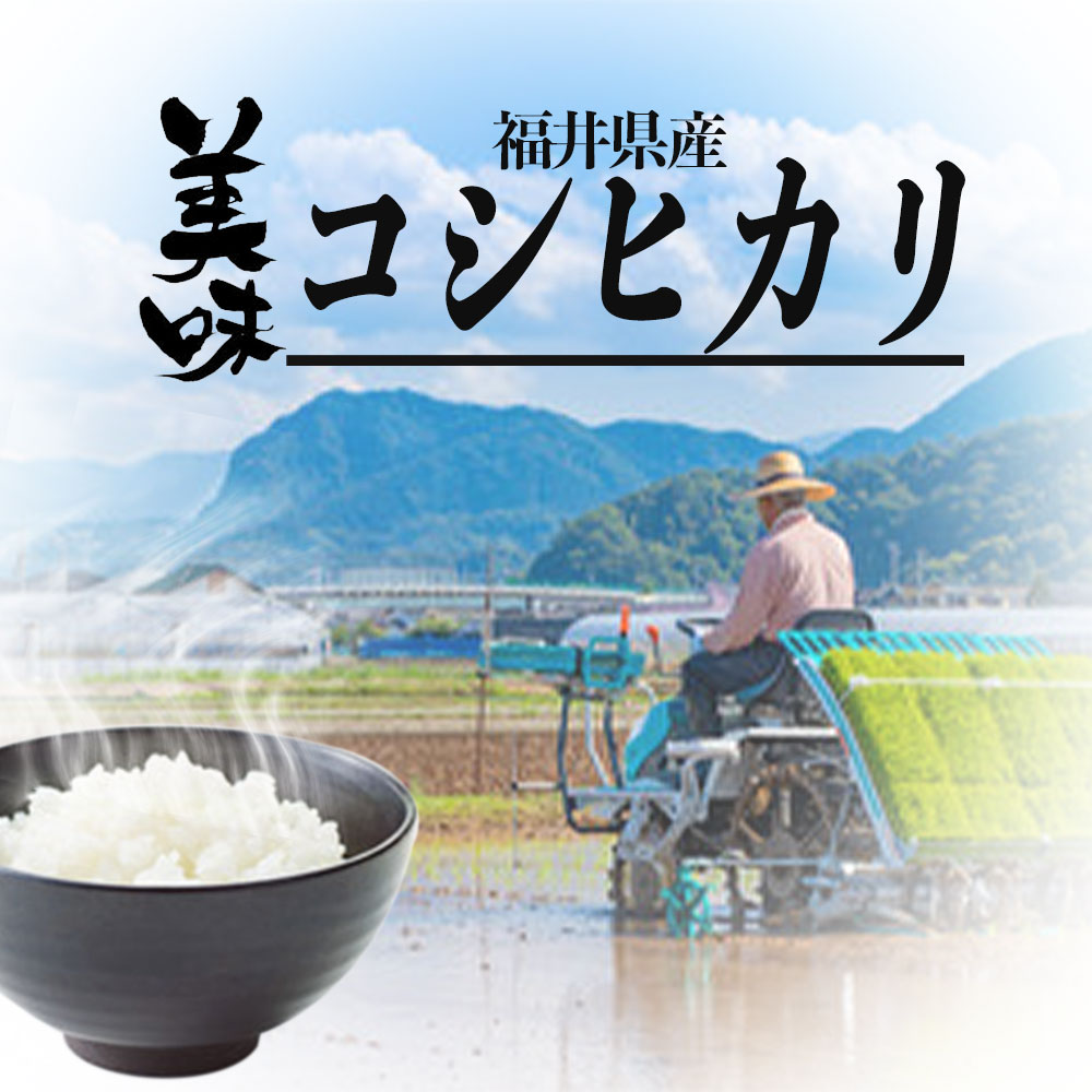 【5/16までP5倍】 送料無料 コシヒカリ 福井県産 10kg 毛利米穀 令和2年...