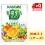 【送料無料！】カゴメ 野菜生活100オリジナル 給食用100ml×30本【1ケース】【ビタミン】【野菜】【給食用】【常温】