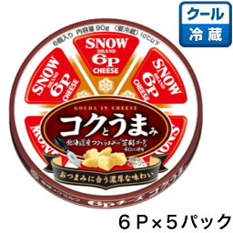 雪印メグミルク 6Pチーズ コクとうまみ 90g×5パック