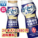 [送料無料] [宅配専用]恵 ガセリ菌SP株ヨーグルト ドリンクタイプ 100g×24本