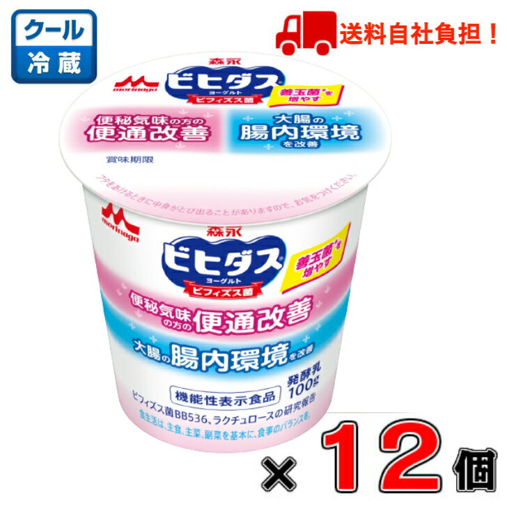 森永 ビヒダスヨーグルト 便通改善 100g×12個