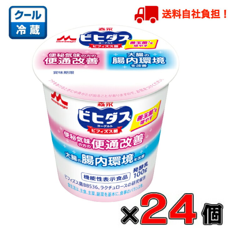 森永 ビヒダスヨーグルト 便通改善 100g×24個