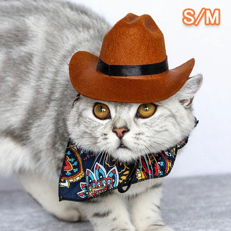 楽天市場】猫 服 カウボーイの通販