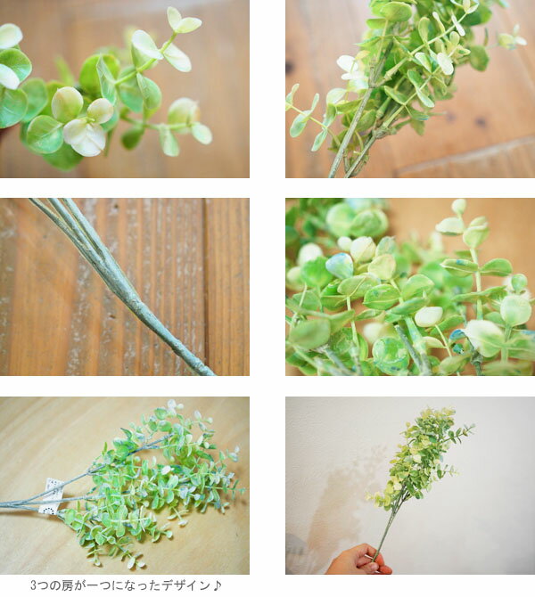 ��OUT LET�ۥ��եȥ桼����/FG9709