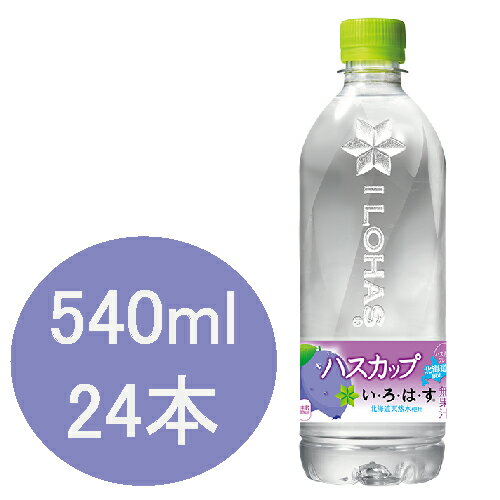 い・ろ・は・す ハスカップ 540mlPET×24本入