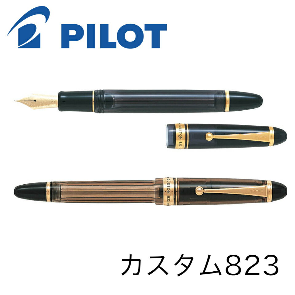 PILOT スケルトンシャープペンシル 万年筆 セット パイロット