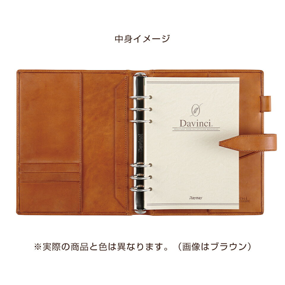 レイメイ藤井 ダヴィンチ システム手帳ロロマクラシック (A5) リング30mm径 ブラック DSA3013B