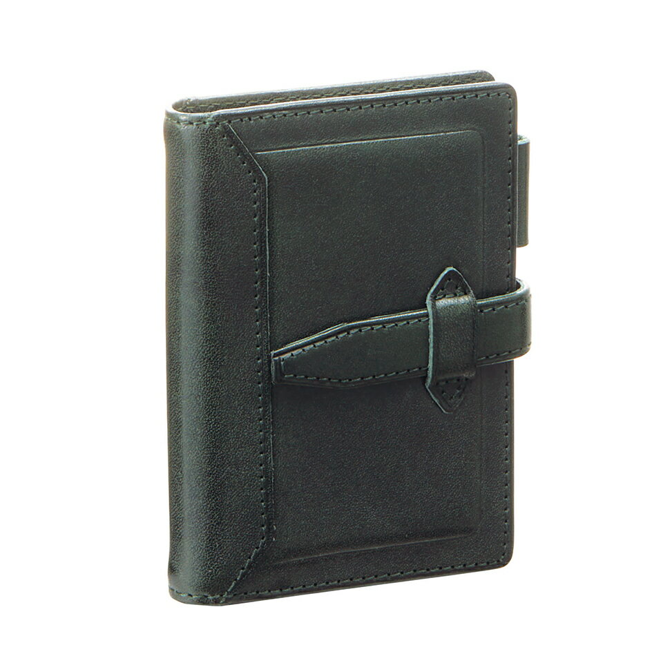 レイメイ藤井 ダヴィンチ システム手帳ロロマクラシック (ミニ5) 11 グリーンDPM3034Mミニ5穴 Raymay レイメイ ビジネス手帳 手帳 リフィル...