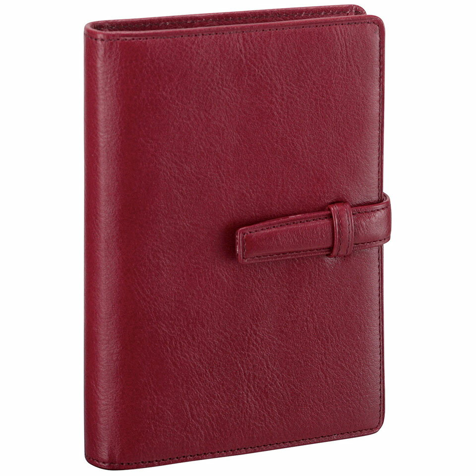 レイメイ藤井ダヴィンチシステム手帳...