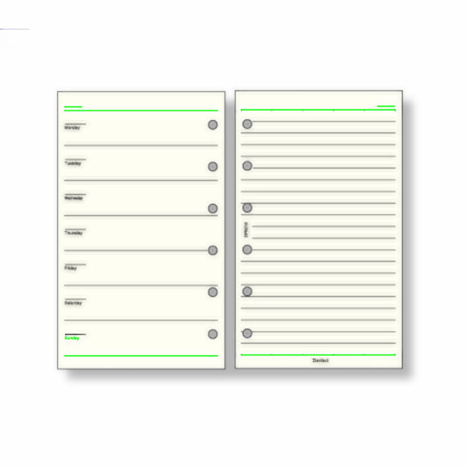 レイメイ藤井ダヴィンチリフィルフリ...