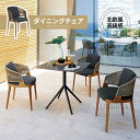 ガーデンソファ 椅子 いす イス チェア ダイニングチェア テーブル 食卓 シングル アウトドア ベランダ 庭 リビング 別荘 ホテル 柔らかい 耐久性 高品質 レジャー 北欧風 簡約 高級感 贅沢感 現代風 気品 安定感 インテリア 一人暮らし 快適 2404-AL19