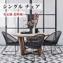 ガーデンソファ ソファ sofa SOFA ソファー シングルソファ レジャーチェア シングル チェア 椅子 いす イス アウトドア シングルチェア 耐久性 室外 室内 庭 ベランダ 耐久性 快適 高級感 ひじ掛け 気品 安定感 北欧風 簡約 通気性 インテリア 一人暮らし 2404-AL53