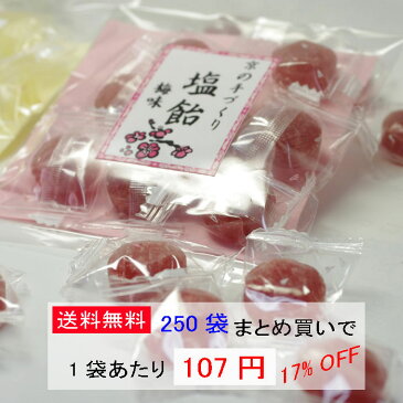 節電対策、熱中症対策に☆塩飴　梅味☆京のあめ 【業務用】250袋【送料込】【まとめ買い】