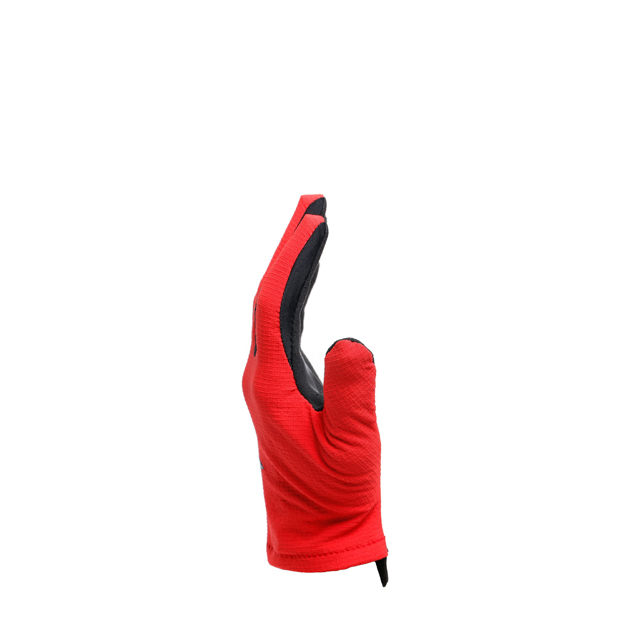 【公式】SCARABEO GLOVES　安心の修理保証付き DAINESE（ダイネーゼ）