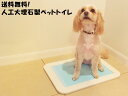 人工大理石製プレミアムペットトイレ