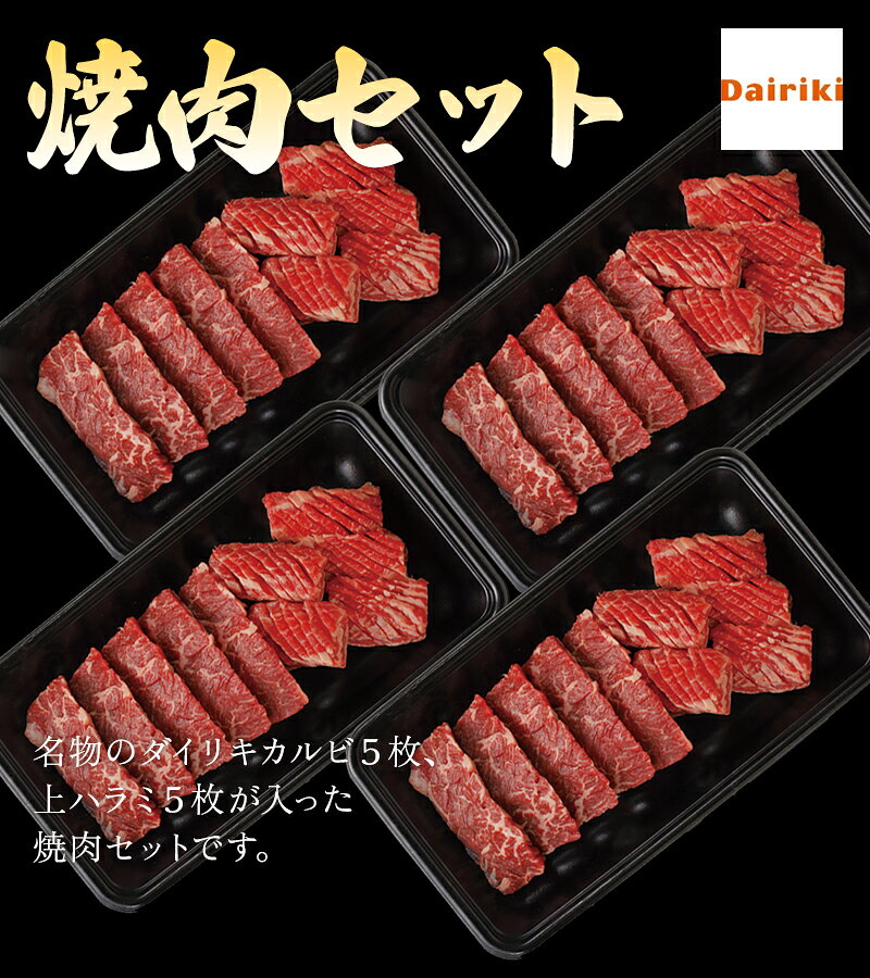 【ひとり焼肉 バーベキュー BBQ 名物 焼肉セット 800g】 ダイリキ肉 ハラミ ダイリキ カルビ 焼肉 牛肉 ハラミ カルビ 牛肉 赤身 切り落とし ハラミ 自宅 で バーベキュー 肉 一人焼肉 炭火 ソロ キャンプ ギフト プレゼント お取り寄せ 記念日 贈答品 dairiki-10000007 肉のダイリキ サンプル画像2