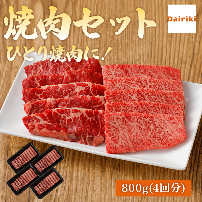 ひとり焼肉 バーベキュー BBQ セット おすすめ 焼肉セット 800g ダイリキ 和牛 カルビ ハラミ たれ 付 ソロ キャンプ ひとり 焼肉 送料無料 父の日 お中元