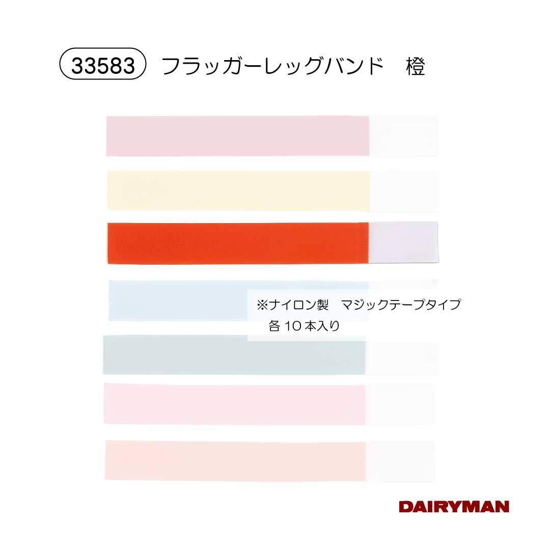 ������ �ܻ��� ­�Х�� �� �ե�å�����å��Х�� �ƿ� ��10���� �� ���� �� �� �� �� �ָ��� �ָ��� FLAGGER LEG BANDS ̵�� ���μ��� ���� �˿� �� ���� ������� ȯ����� �������μ��� �ܰ� �ޡ��� ���롼��ʬ�� �ޥ��å��ơ��� �ե����ʡ��ơ��� �̥ե����ʡ�