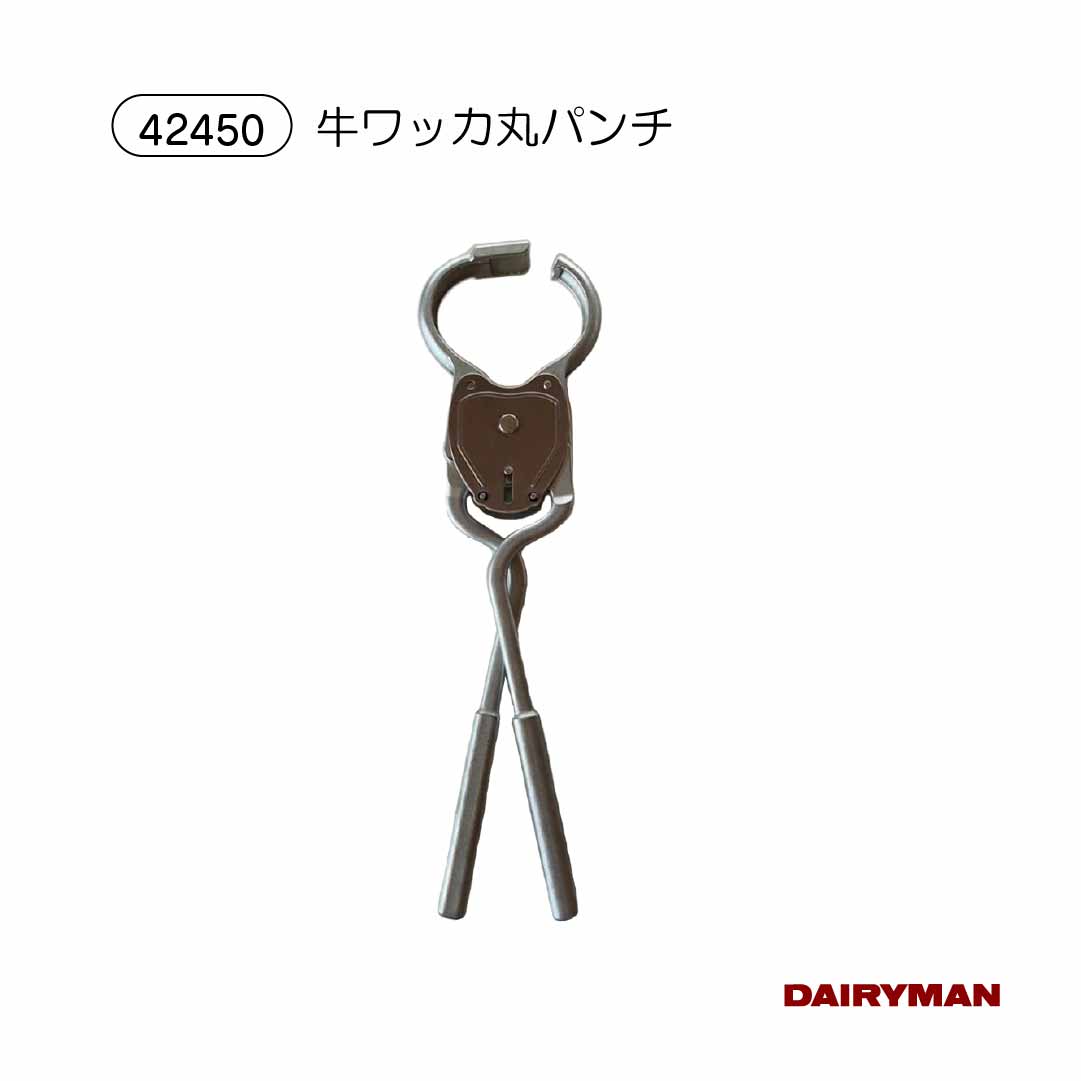 ������ �ܻ��� ɡ�� �ѥ�� �ڵ���å��� �ƿ� 10���� ������å������ѥѥ���ۥ���� �� �� �忧 �ԥ� ���� ���� �� ���� �ۥ륹������ �µ� �����¼� ɡ�� ɡ�� KnotI �ܻ� ���� �ϥʥ��� ɡ�� ����å��ݥ˥塼�ѥ�� ����ä���